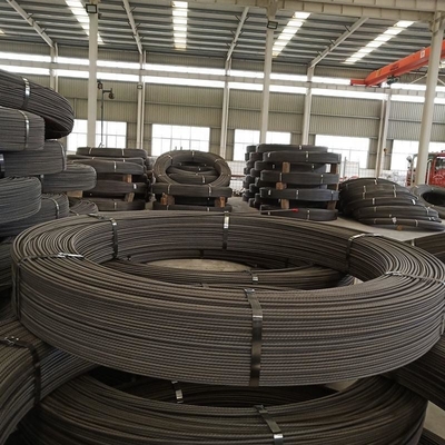 Le roulement à chaud Q195 SAE1008 en acier à haute teneur en carbone 5,5 mm 6,5 mm avec certification CE